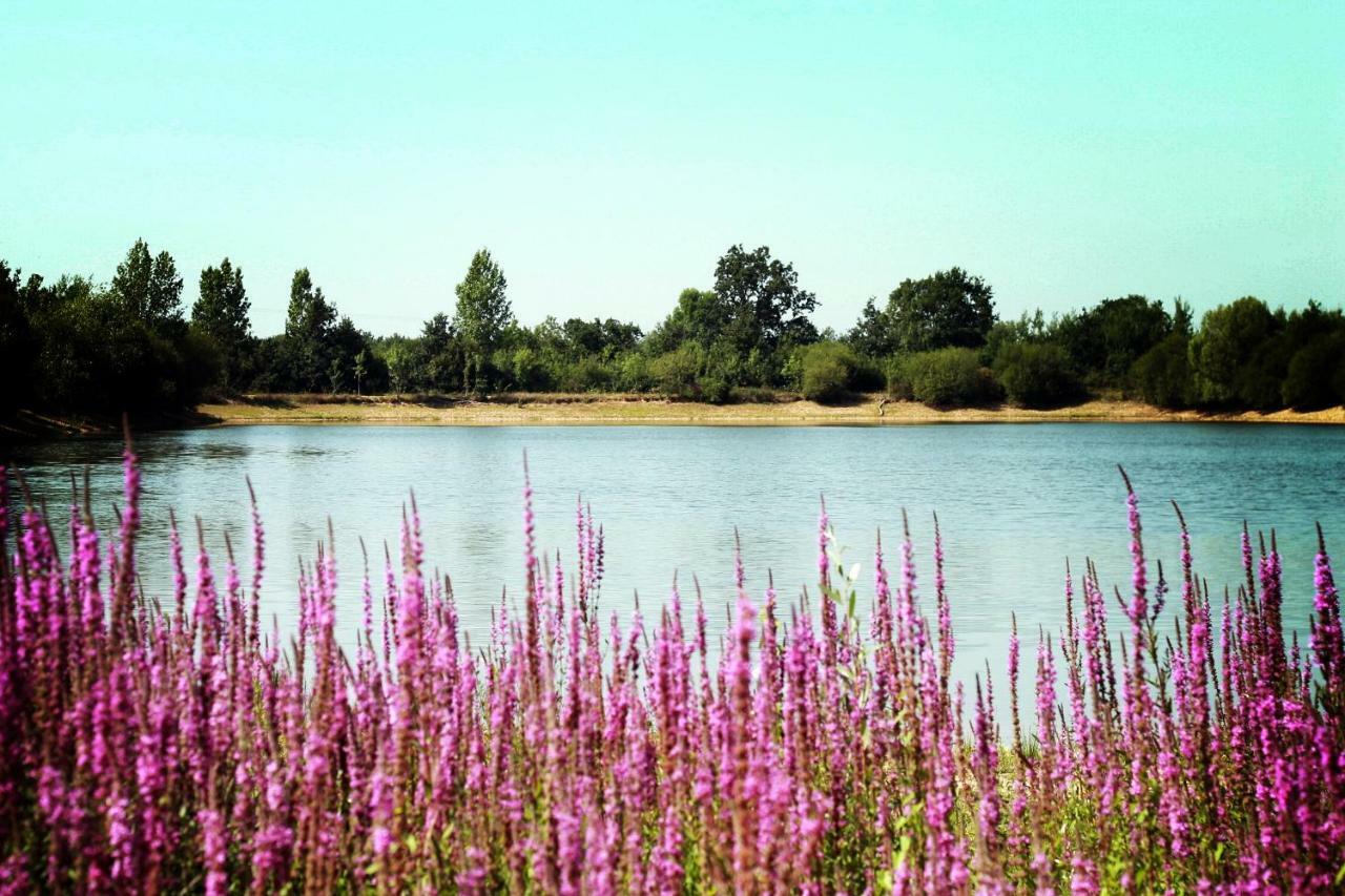 Camping Au Pre De L'Etang Sainte-Foy  Bagian luar foto